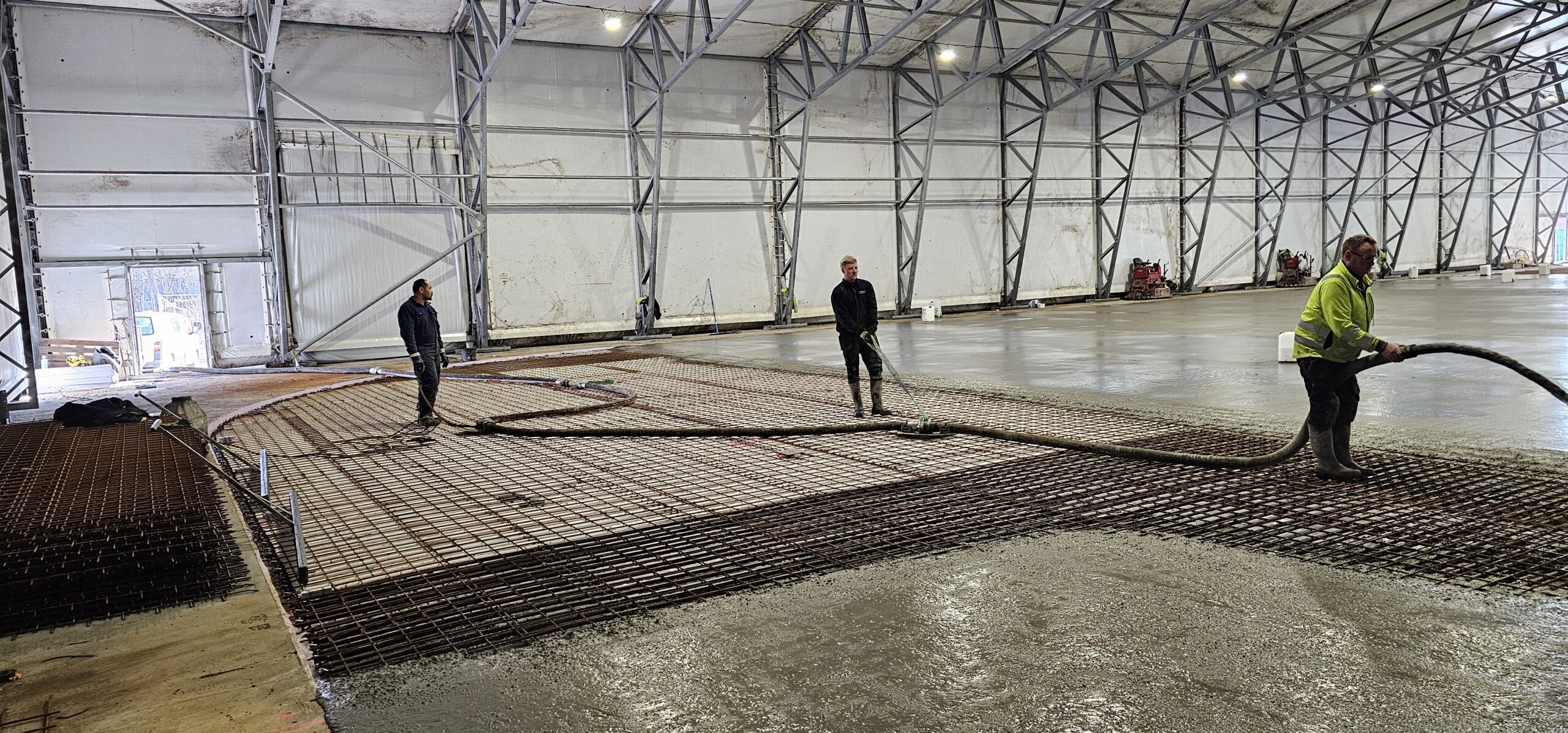 20240312_111542-scaled — Moss