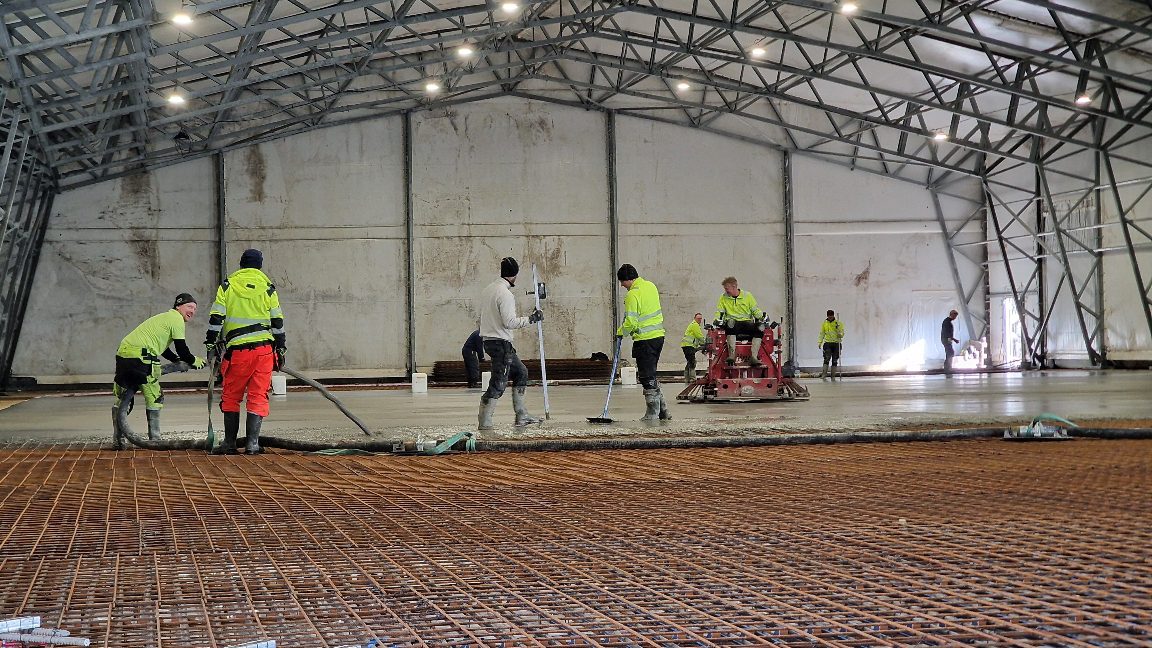 APP_20240312_1914512 — Moss