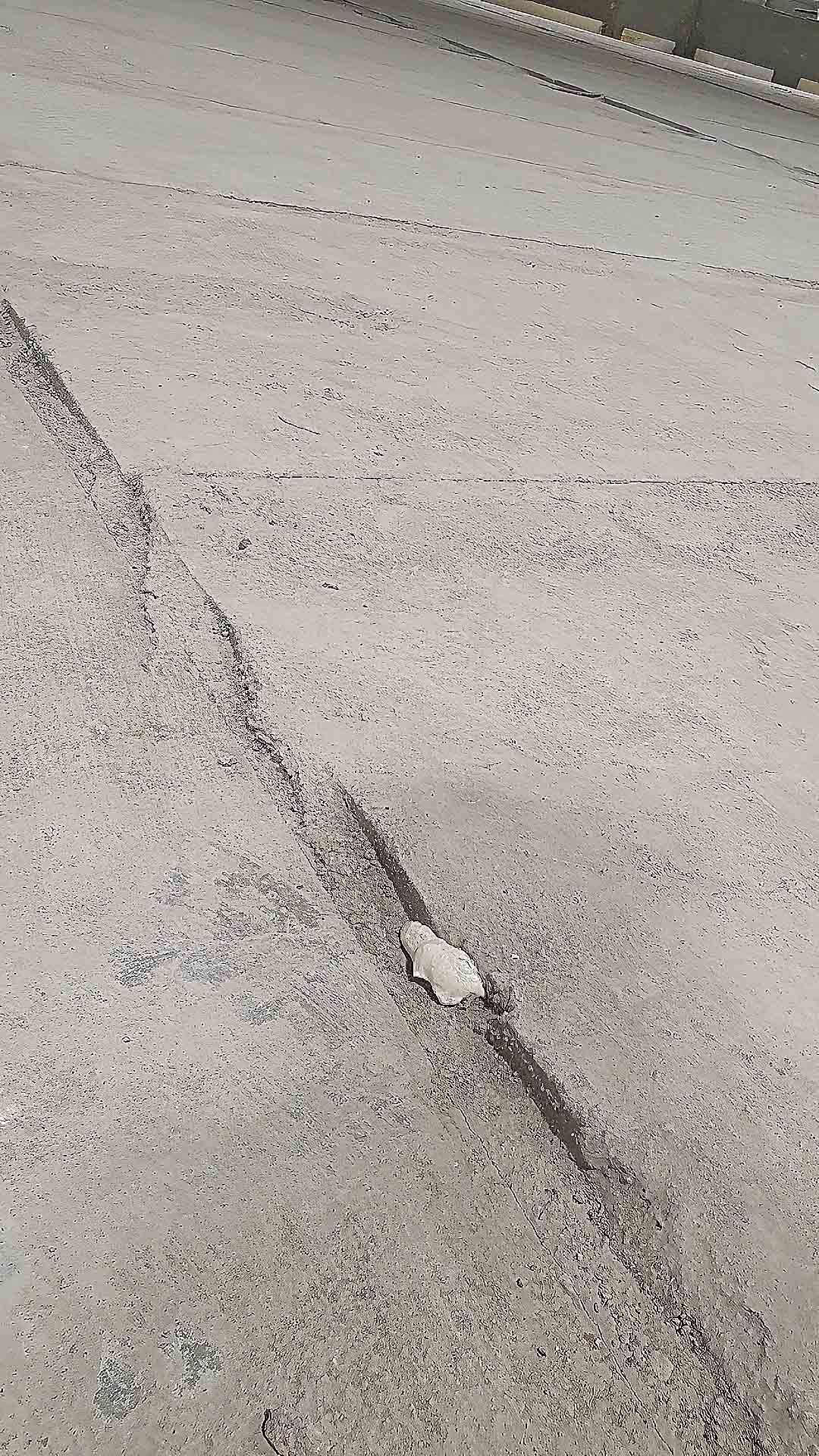 Risenga Tripletex Risenga Tripletex108 – Risenga – Ishall (2021)