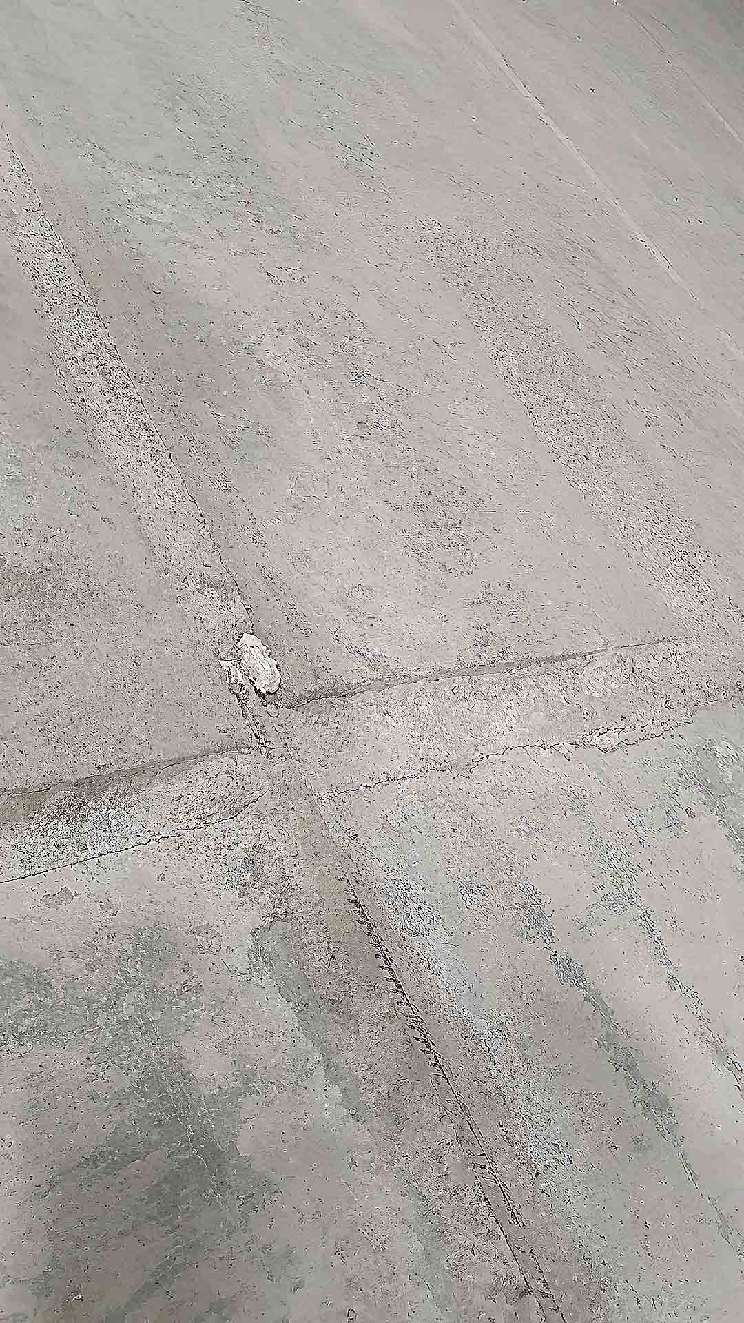 Risenga Tripletex Risenga Tripletex115 – Risenga – Ishall (2021)