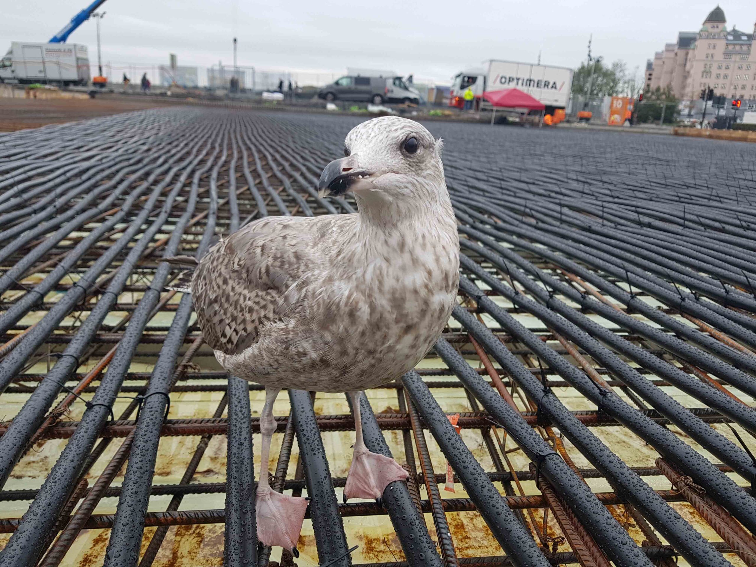 Opera-Urban-Utebane-2018-8-scaled — Oslo