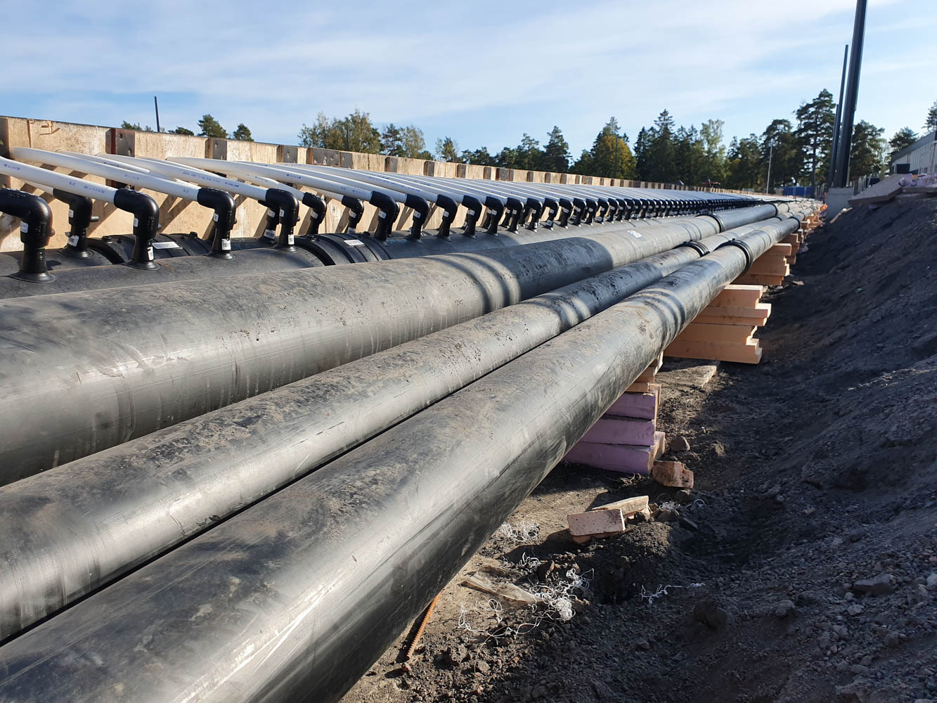 Maier Arena — prosjektbilde