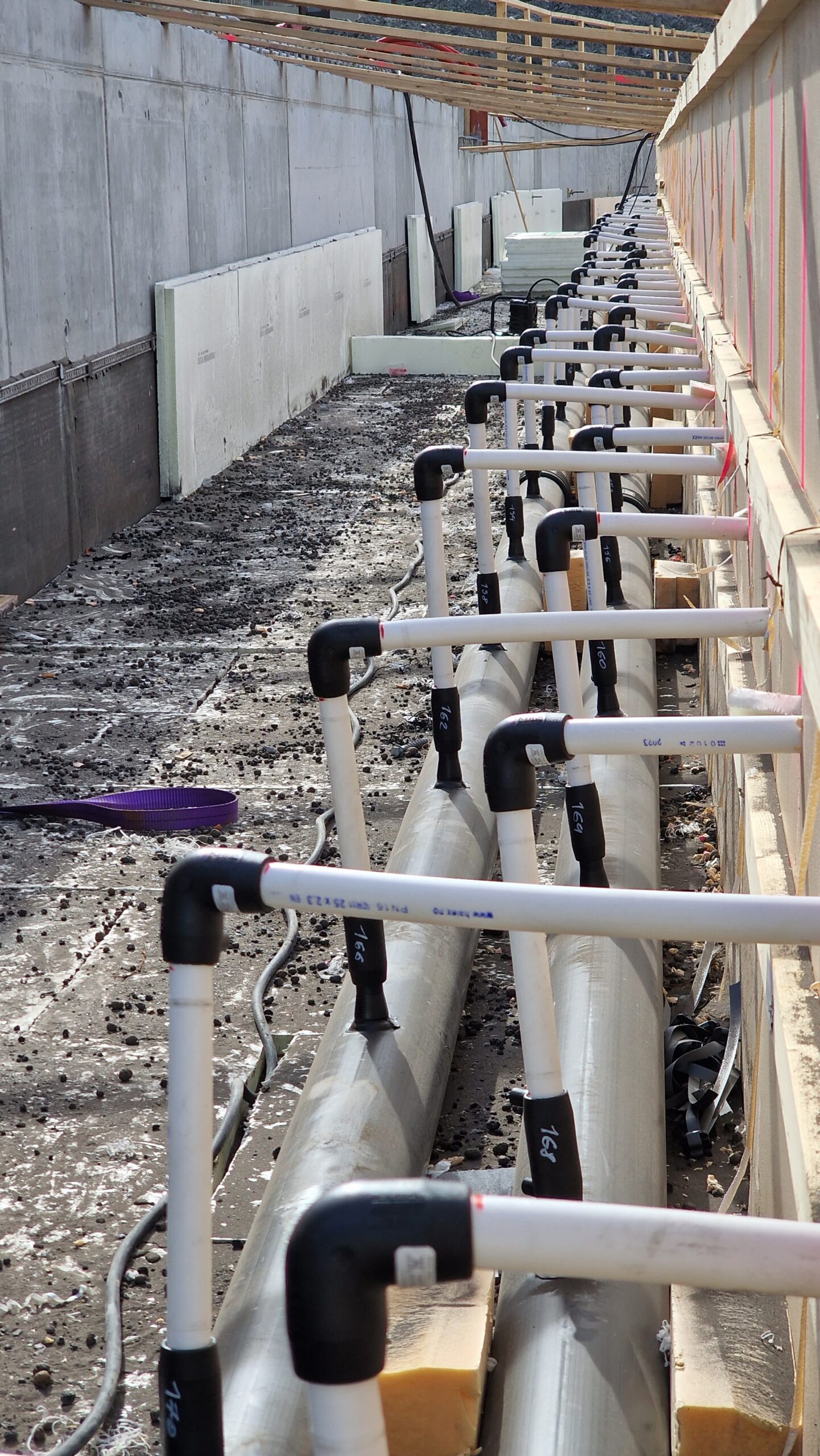 APP_20230328_1946053-scaled — Oslo